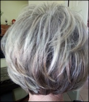 Elevated Bob Portfolio